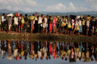 bangladesh rohingya