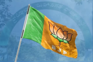 bjp win seats in GHMC