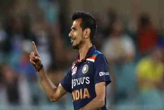 IND vs AUS Chahal brought in as concussion substitute for Jadeja, Langer unhappy