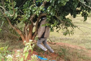 ನೇಣಿಗೆ ಶರಣು