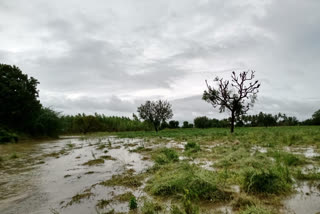 Perambalur district