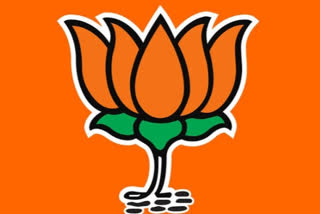 bjp