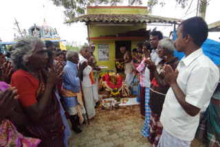 jallikattu ox death