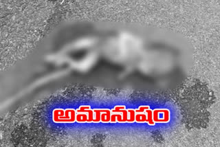Baby dead body found at Karavulakunta ananthapuram district