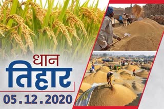 fifth-day-of-paddy-purchase-in-chhattisgarh