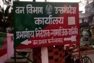 टाइगर से दहशत में ग्रामीण