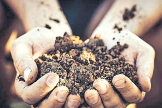 World Soil Day