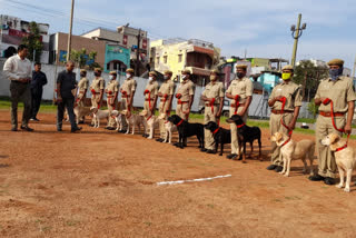 City Police Dogs