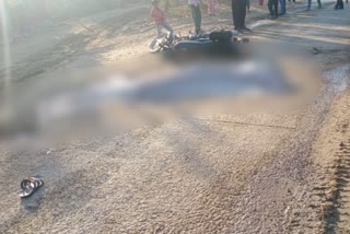 दौसा में सड़क दुर्घटना, road accident in dausa