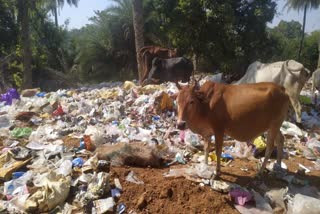 Garbage dumping area