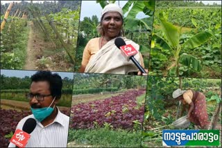 farmers in kalliyoor  kalliyoor farmers  farmer  vellayani  തിരുവനന്തപുരം  വെള്ളായാണി  വെള്ളായാണി കർഷകർ