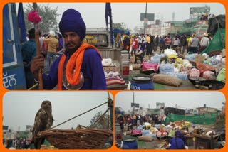 Nihang Sikhs took up the front in front of the police to protect the farmers