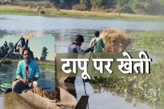 farmers-cultivating-crops-on-island-in-korba