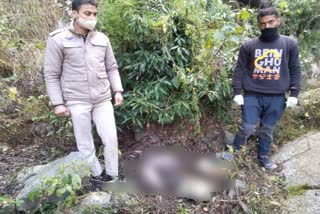 Dead body of missing person of village Bhadoli found Near the drain in chamba