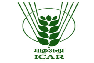 Icar ranking for 2019