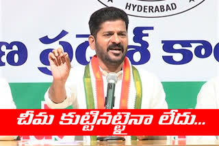 'భాజపాకు ఎన్నికలపై ఉన్న శ్రద్ధ రైతుల పోరాటంపై లేదు'