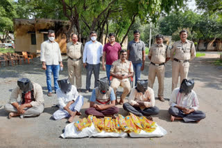 Eight people arrested for selling gutka in porumamilla kadapa district