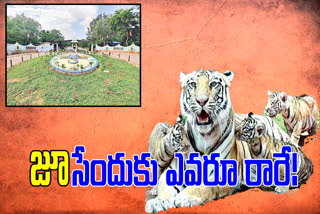 Rs 8 crore loss to zoo's due to corona