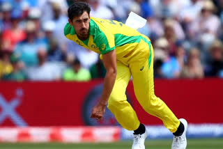 Sydney, Mitchell Starc,  Canberra,  Mitchell Starc, Australia