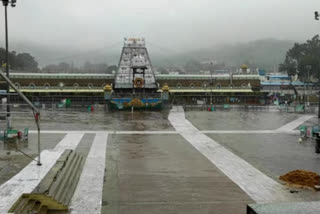 Pilgrims struggling with rain on Tirumala hill