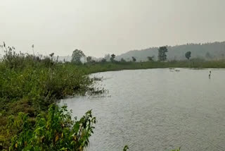 water of the pond is drying