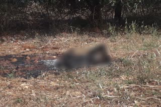 find-the-dead-body-of-a-person-in-a-half-burnt-in-davanagere