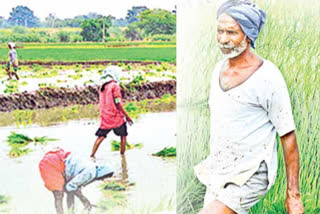 Agriculture needs government help