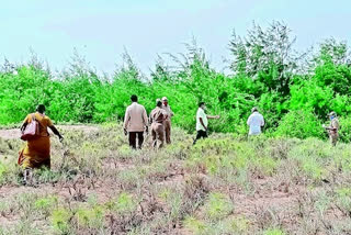 bhavanapadu port land issue