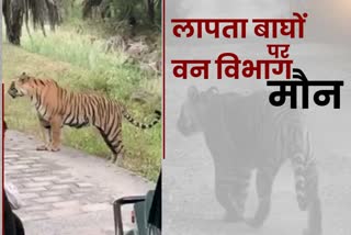 tiger reserve,  missing tigers