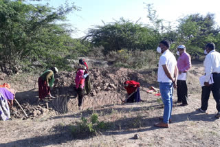 Collector inspected MNREGA works in Sirohi, सिरोही कलेक्टर का मनरेगा कार्यो का निरीक्षण