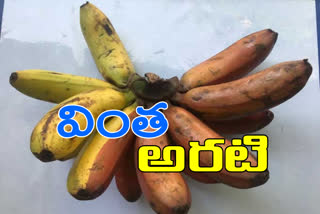 Chakrakeli, nectar for a single banana hand