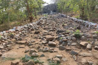 source-text-balod-forest-department-is-making-forest-of-sahagaon-a-picnic-spot