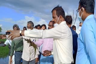 cyclone affected areas in chengalpattu