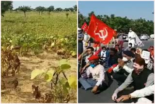 rajasthan farmer protest, राजस्थान किसान आंदोलन