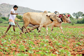 welfare of farmers is the only solution for food safety