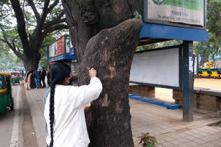 nail-free tree campaign