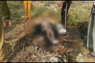 नाले में मिला अधेड़ का शव, Dead body found in drain