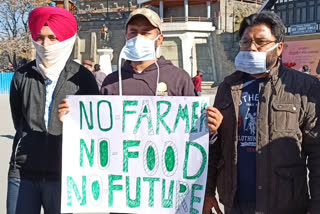 shimla farmers protest
