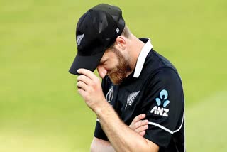 there will be no issue of kane taking parental leave says newzealand coach Stthere will be no issue of kane taking parental leave says newzealand coach Steadead