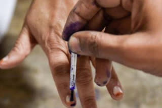 Union Minister V Muraleedharan casts his vote