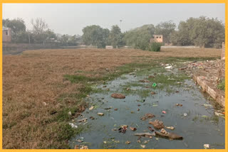 Poor condition of pond in Kiradi assembly