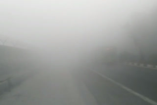 fog havoc in delhi