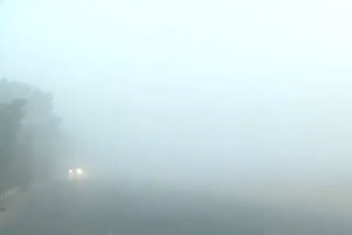 'Moderate' fog in Delhi, minimum temp dips below 10 deg C: IMD