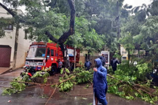 central team visits storm affected areas in puducherry