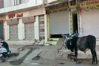 effect-of-bharat-bandh-was-seen-in-raisen