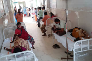 Patients admitted to hospital due to mysterious disease