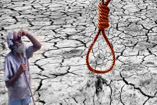 234 farmer suicides in one year  234 farmer suicides in Chhattisgarh  Raipur  Chhattisgarh  ഛത്തീസ്‌ഗഡിൽ ഒരു വർഷത്തിനിടെ 234 കർഷക ആത്മഹത്യകൾ നടന്നതായി ബിജെപി നേതാവ്  ഛത്തീസ്‌ഗഡിലെ കർഷക ആത്മഹത്യകൾ  ഛത്തീസ്‌ഗഡിലെ 234 കർഷക ആത്മഹത്യകൾ