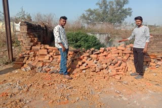 elephants damaged urban areas last night in ramgarh