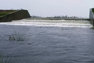 காஞ்சிபுரம் மாவட்ட ஏரிகள்  783 lakes reaching full capacity in Kanchipuram  செங்கல்பட்டு மாவட்ட ஏரிகள்  மணிமங்கலம் ஏரி  தென்னேரி ஏரி  தாமல் ஏரி  Dhamal Lake  Manimangalam Lake  Chengalpattu District Lakes  Kancheepuram District Lakes