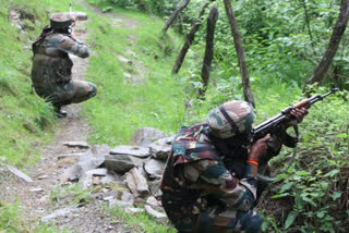 search operation starte in tral area